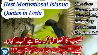 Naseeb Ka Likha Mel Kar Rehta Hai  Beautiful  Ahdees Mubarak  Best Motivational Islamic Quotes In Ur