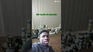 Smoking 3k+ worth of Curaleaf Cannabis products ✅ over the years