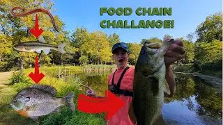 Fishing Food Chain Challange! (Huge Bass Snaps Line!)