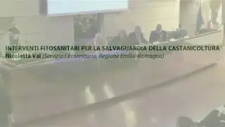 10 - Nicoletta Vai - Interventi fitosanitari per la salvaguardia della castanicoltura