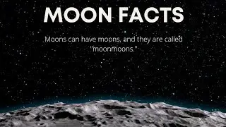 Exploring the Mysteries and Facts About Our Nearest Celestial Neighbor, the Moon