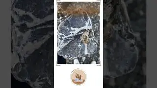 Revealing the Secret of the stones with this app #Rock identifier