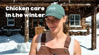 How to take care of your chickens in the winter