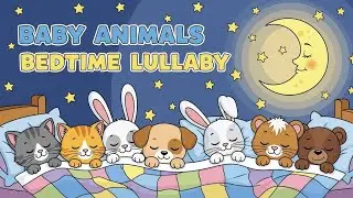 Baby Animals Bedtime Lullaby