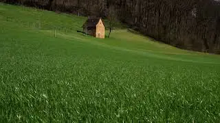 Pomerania | Original Cinematic Composition