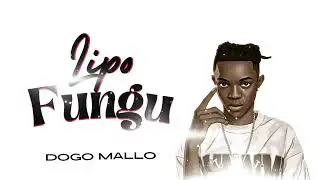 Dogo Mallo - Lipo Fungu  (Official Audio Singeli)