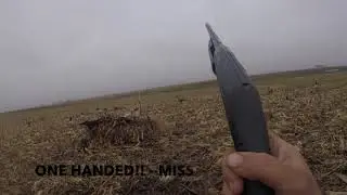 Field Duck Hunt 10/7/18 - 2 Men = 10 Ducks
