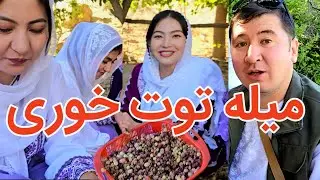به آرزویم رسیدم ❤️ میله توت خوری در تایلوم 🇦🇫