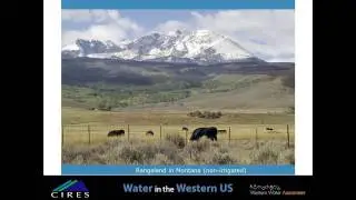 Water Demand for Agriculture