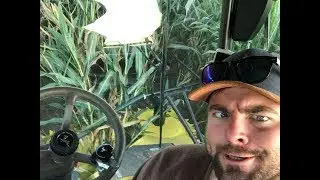 LIVE Gr&uuml;nroggen M&auml;hen mit John Deere 6250R und Claas Disco 9200C Autoswath und AdBlubber