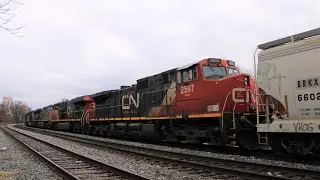 Chasing Two Canadian National Locomotives on CSX Mixed Freight Train Q422!