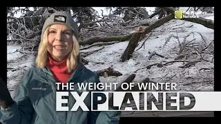 How Heavy is Winter? The Weight of Snow and Ice Storms | Explained (Episode 14)