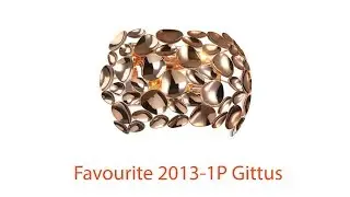 Видеообзор Favourite 2013-2W Gittus