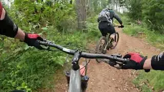 2022/07/04 - 360 Trails: Bee Line