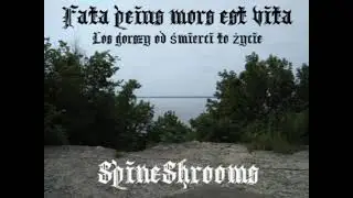 SpineShrooms - Progressive Grindcore - (Official Audio)