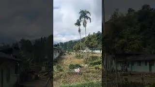 Dukuh Kayulandak #viralvideo #automobile #live #batang #jowopride #hiburansegar #batangjawatengah
