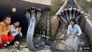 I caught the big snake Mamu and brought him to the cave 😨