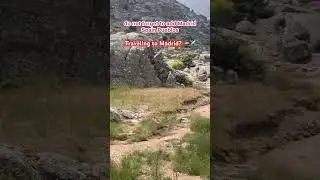 Не упустите возможность посетить Мадрид, Испания, и я говорю не только о самом городе!!! ✈️🇪🇸