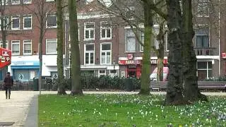 SANY0545.MP4