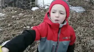 Collecting First Sap Run With The Boys
