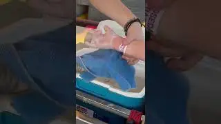 Making a wax hand at the carnival