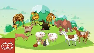 WHICH ANIMALS EAT GRASS - Lesson 2 (Level A) - Learn English For Kids