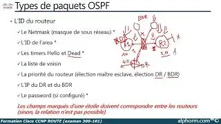Formation Cisco CCNP ROUTE | Les paquets OSPF