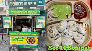 The Momos Mafia - Sector 14,Sonipat