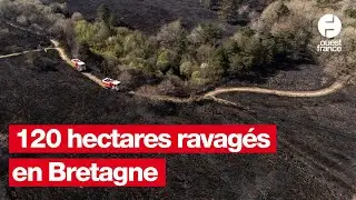 Un important incendie a ravag&eacute; 120 hectares dans les C&ocirc;tes-d&rsquo;Armor