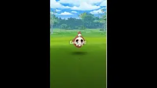 Pok&eacute;mon Go - Duskull Community Day - Capturing a Shiny Duskull with an excellent curveball throw