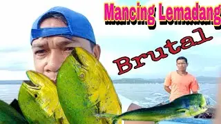 Mancing Lemadang || Teknik Handline