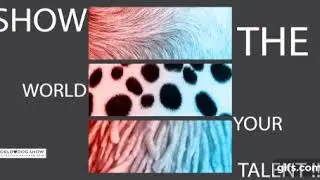 World Dog Show 2018 Amsterdam