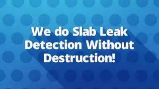 Integrity Repipe Inc : Leak Detection