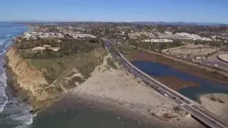 Del Mar Dog Beach CA