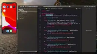 iOS application life cycle in Tamil | Learn iOS app development | UIApplication and AppDelegate