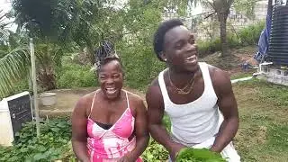 Собираю урожай поп-чоя 🇯🇲🇯🇲🇯🇲