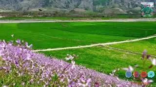 Weraz Da Akhter Da Khalak Handie Yatim Da Plar Pashto Naatورزداخترد خلک خندي ياتيم دا پلار پښتو نعت