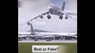 Avião dançando com pássaro ✈🦅🤣 #humor #memes #shortsvideo #funny #entretenimento #avião