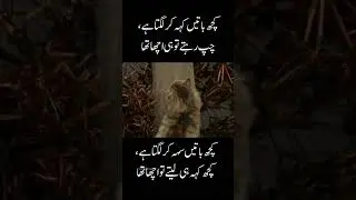URDU quotes poetry  about life and reality.