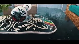 Upgrading my skateboard wheels! (Bones STF V3)