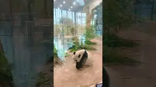 Chengdu 🐼 Research Base