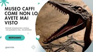 Museo Caffi come non lo avete mai visto: animali, dinosauri e statue 🎥🦁🦖