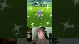 ✨Shiny Hisui Sneasel CAUGHT In Pokemon Go!✨ #pokemon #shorts