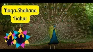 Exploring the Enchanting Melodies of Raga Shahana Bahar | meditation music