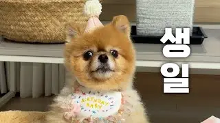 Songi's birthday party filled with her favorite things