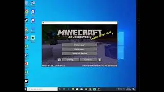 Playing minecraft survival on my survival series world