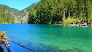 Lindeman Lake Hike on a Sunny Day, Chilliwack, BC | Trekkerpedia Adventures | Trekkerpedia
