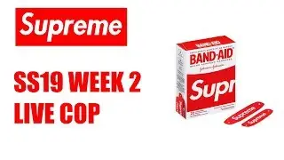 Supreme Spring Summer 2019 Week 2 Live Cop