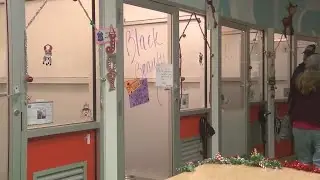 Albuquerque Animal Welfare Department temporarily waives adoption fees