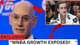 The WNBA 